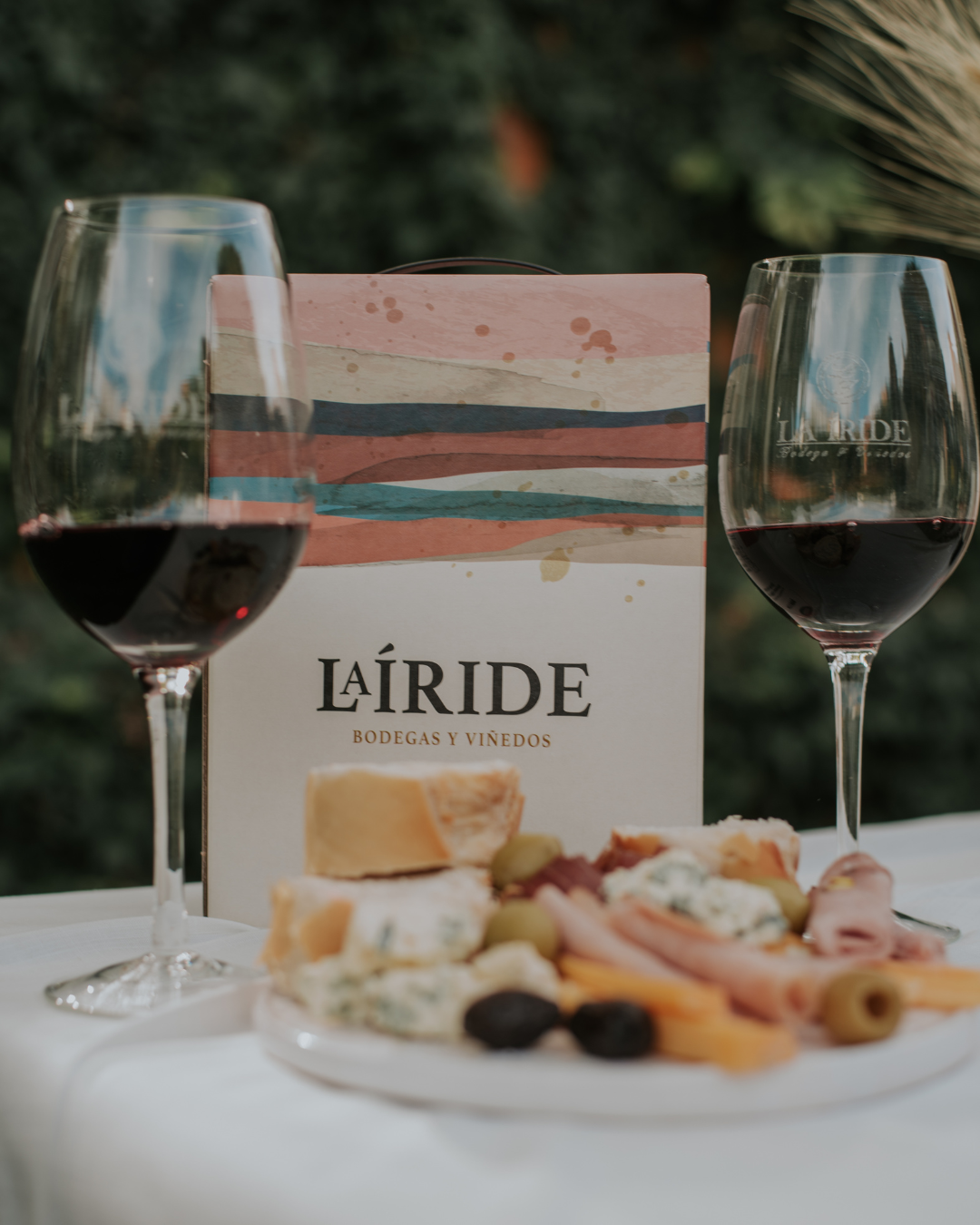 La Iride Selección x 4 - Imagen 3