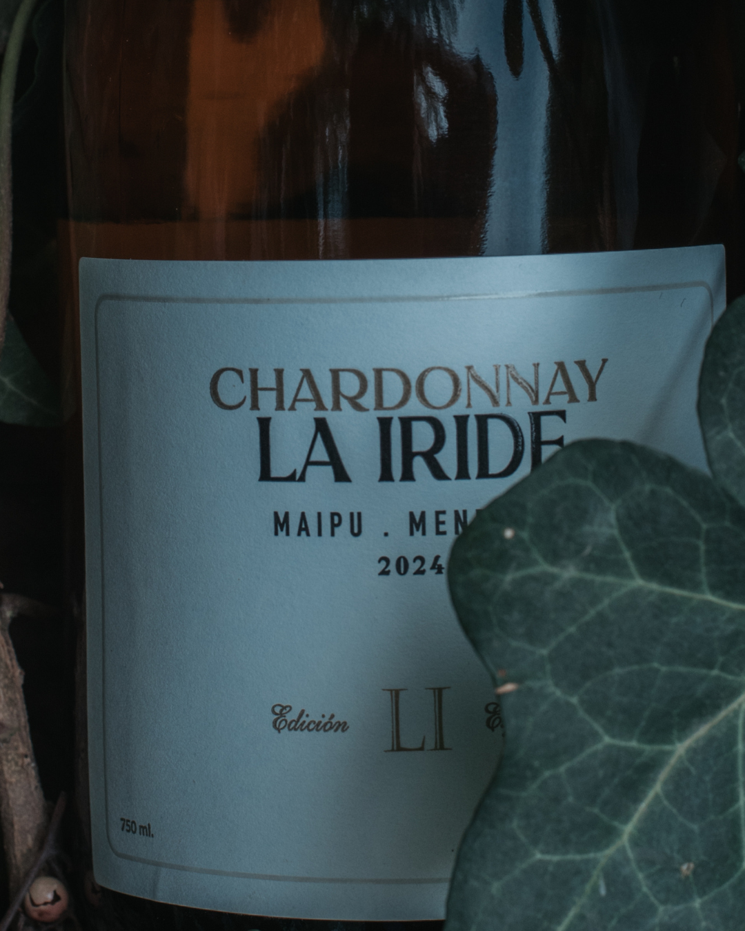 Partida Seleccionada Chardonnay - Imagen 2