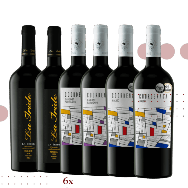 Mix Terroir Maipu Premium